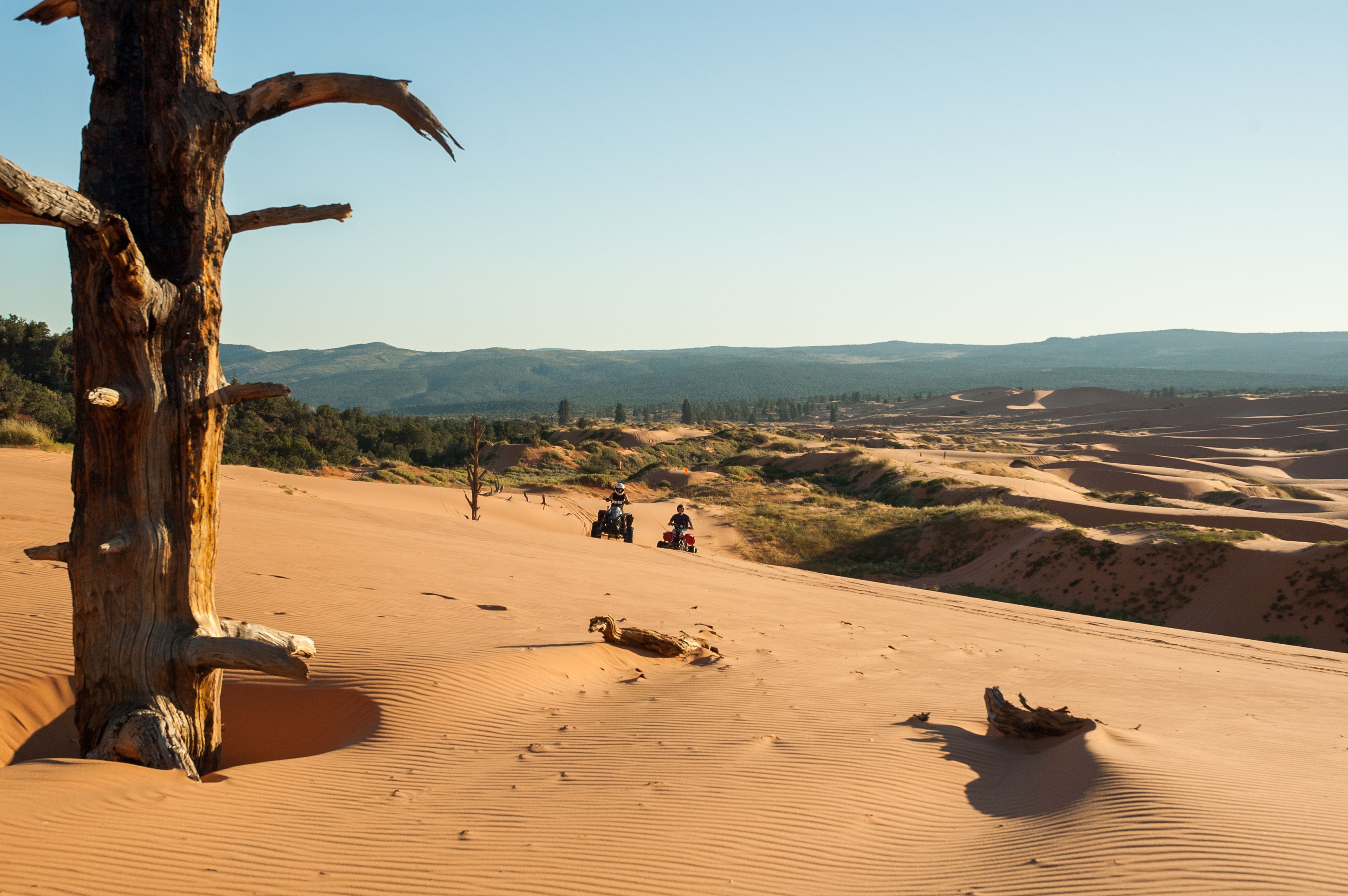 ATV Riders, Coral Pink Sand Dunes, Kanab