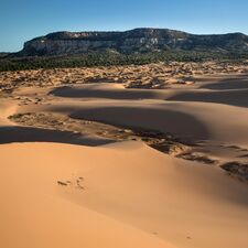 regionen/usa/suedwesten/utah/coral-pink-sand-dunes-state-park/coral-pink-sand-dunes-sp-sonnenaufgang-malte-gaack-06.cr3644x3648-0x0 regionen/usa/suedwesten/utah/coral-pink-sand-dunes-state-park/coral-pink-sand-dunes-sp-sonnenaufgang-malte-gaack-06.cr3644x3648-0x0