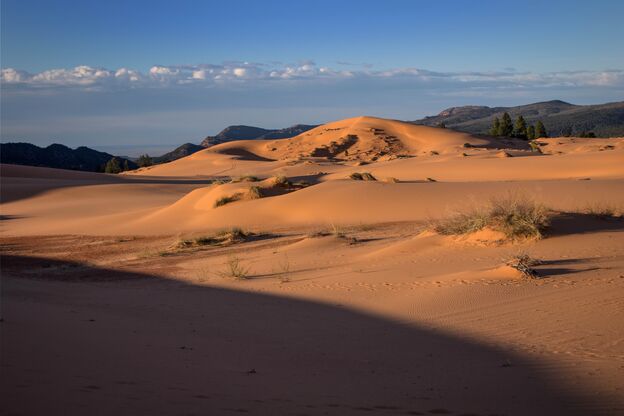 Coral Pink Sand Dunes State Park in Utah Coral Pink Sand Dunes State Park in Utah