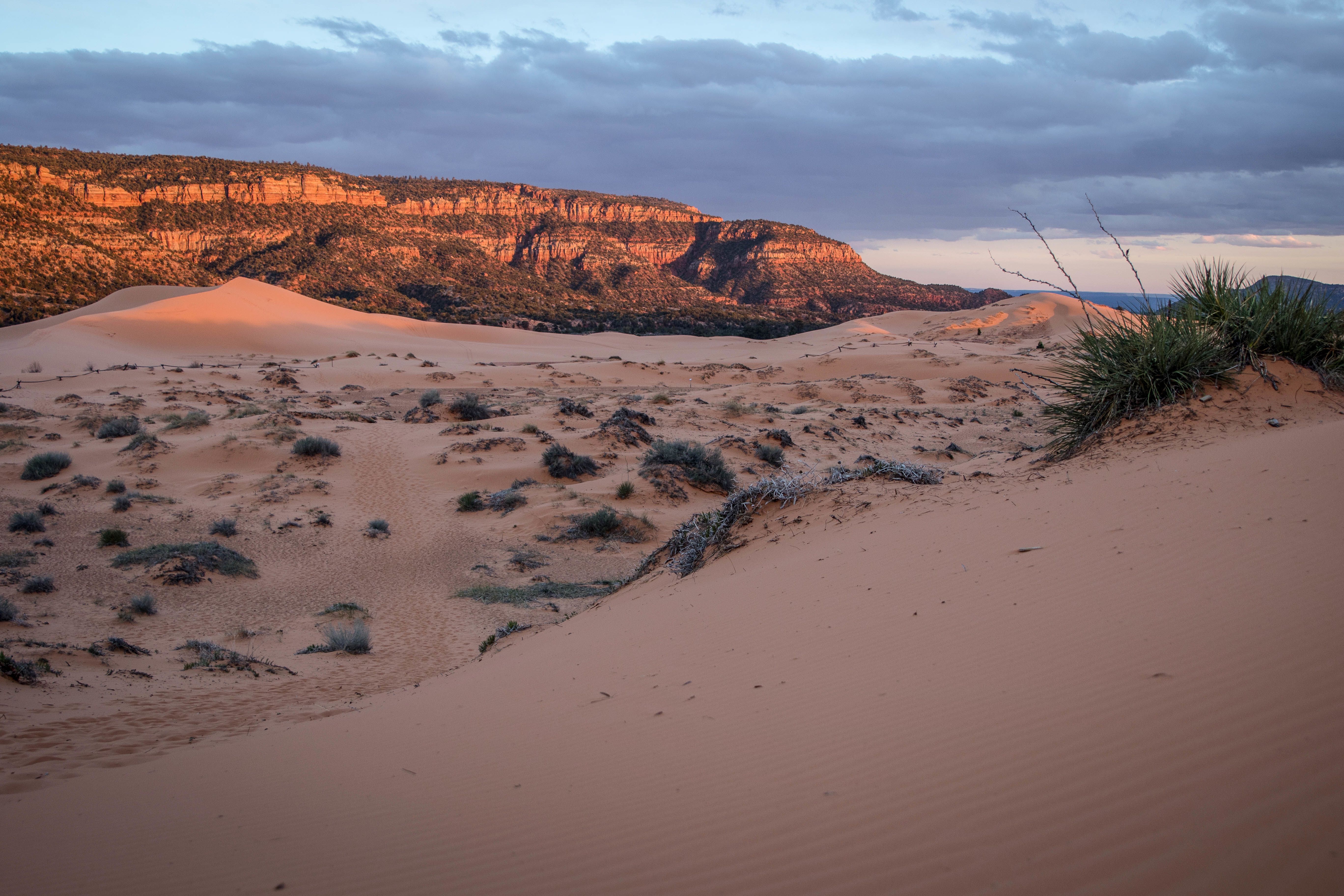 Coral Pink Sand Dunes State Park in Utah