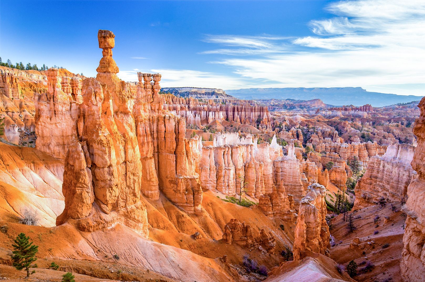 Die Hoodoos im Tal des Bryce Canyon Nationalparks