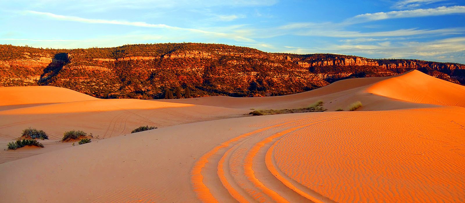 Coral Pink Sand Dunes State Park in Kanab