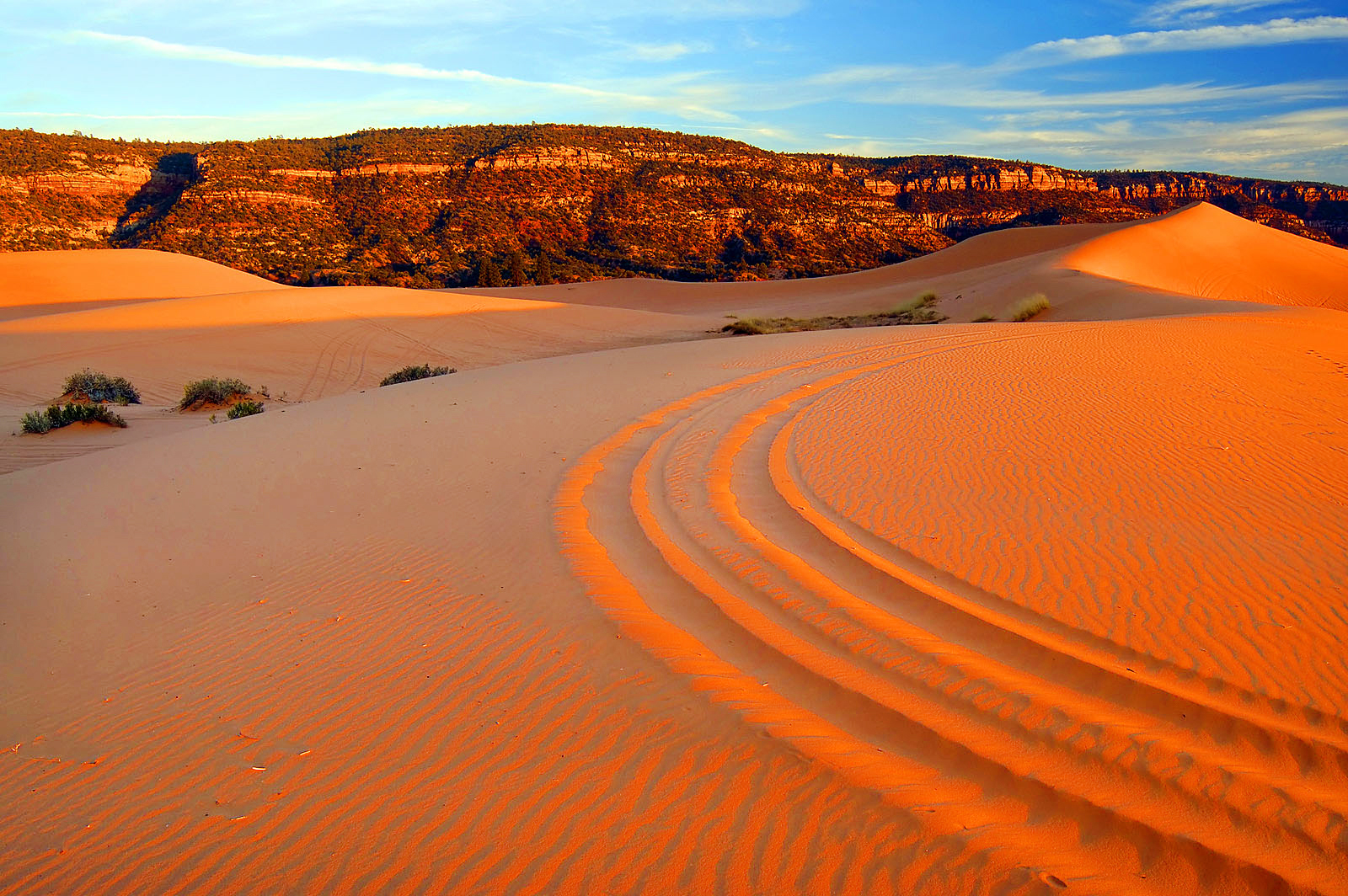 Coral Pink Sand Dunes State Park in Kanab