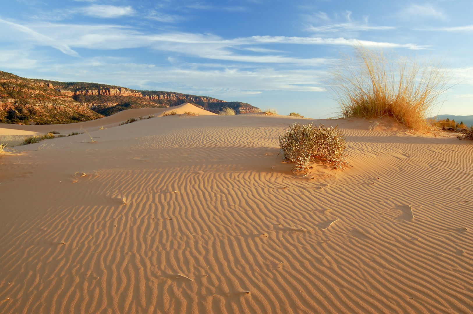 Coral Pink Sand Dunes State Park in Kanab
