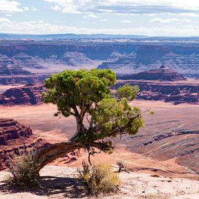 Dead Horse Point State Park