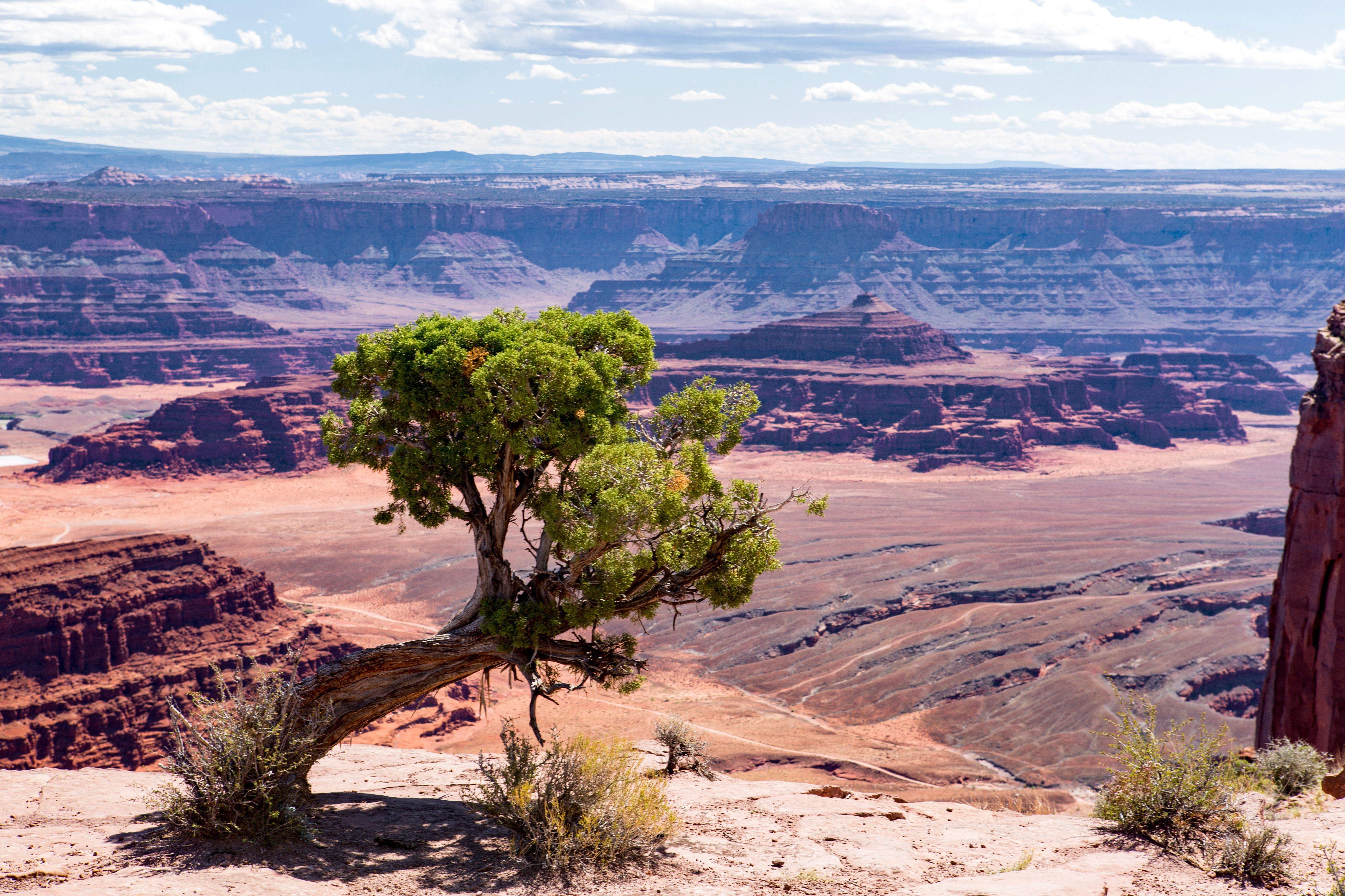 Dead Horse Point State Park