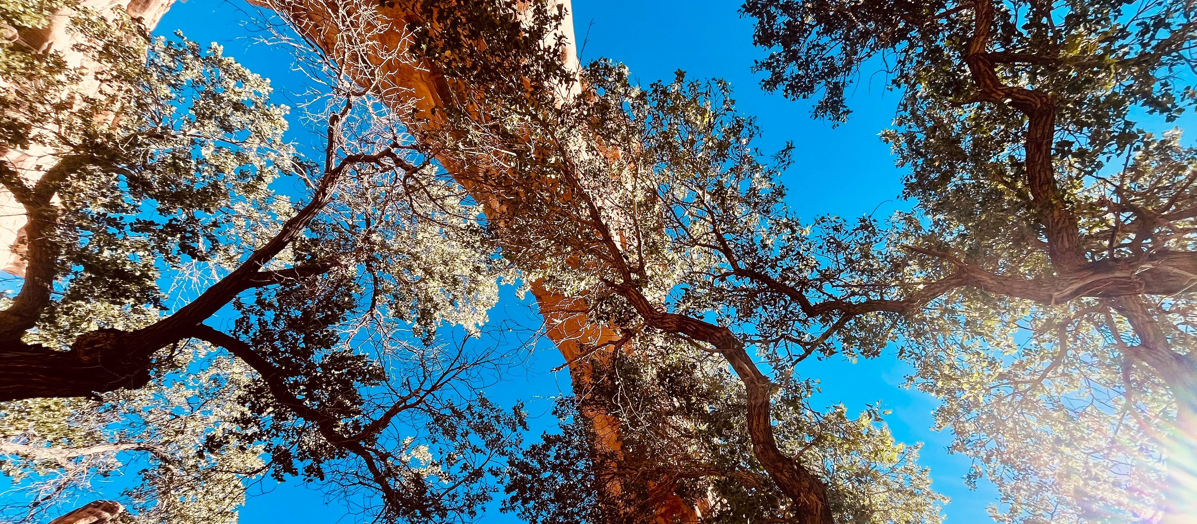 Blick auf einen Steinbogen von unten