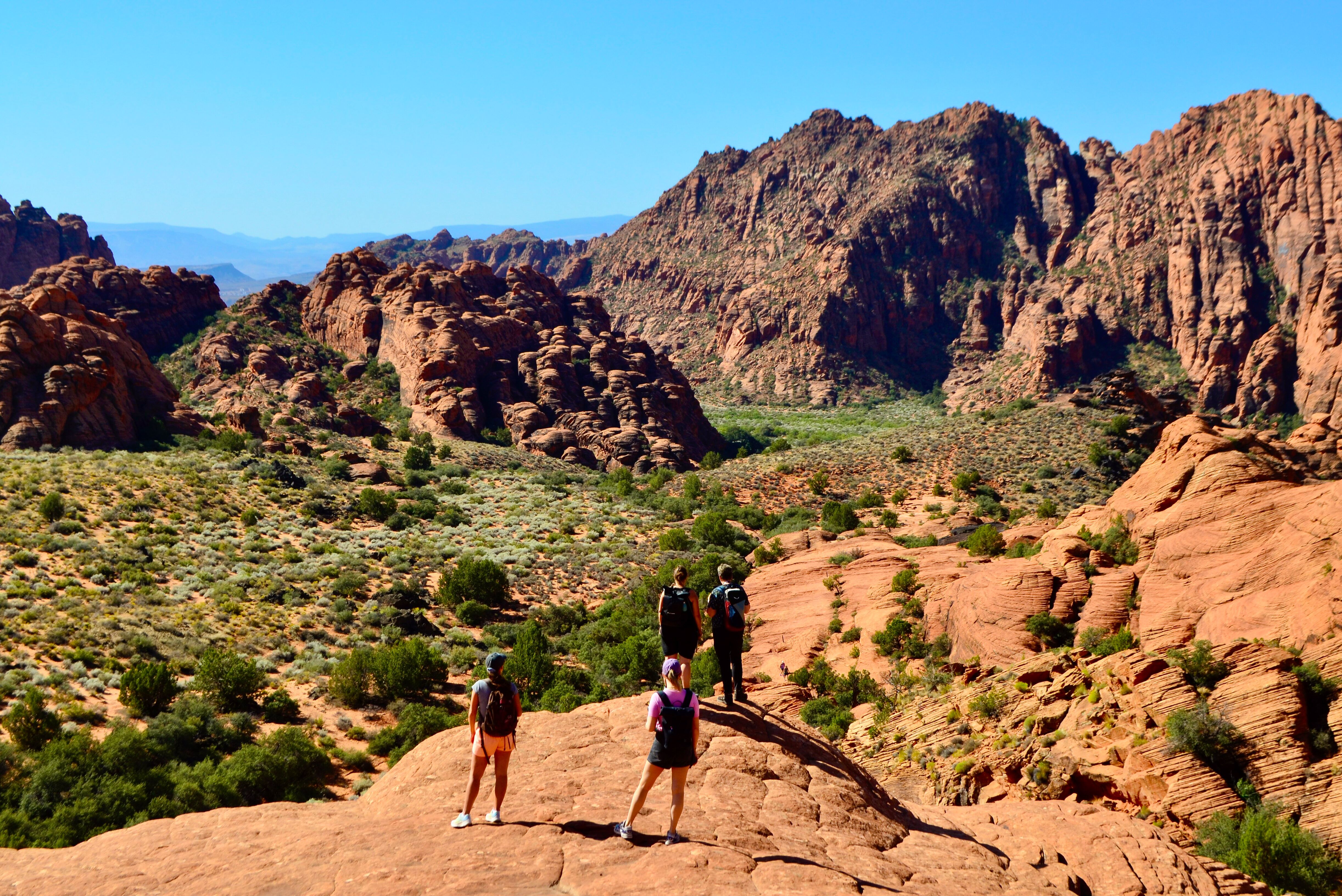 Eine Gruppe Wanderer im Snow Canyon State Park