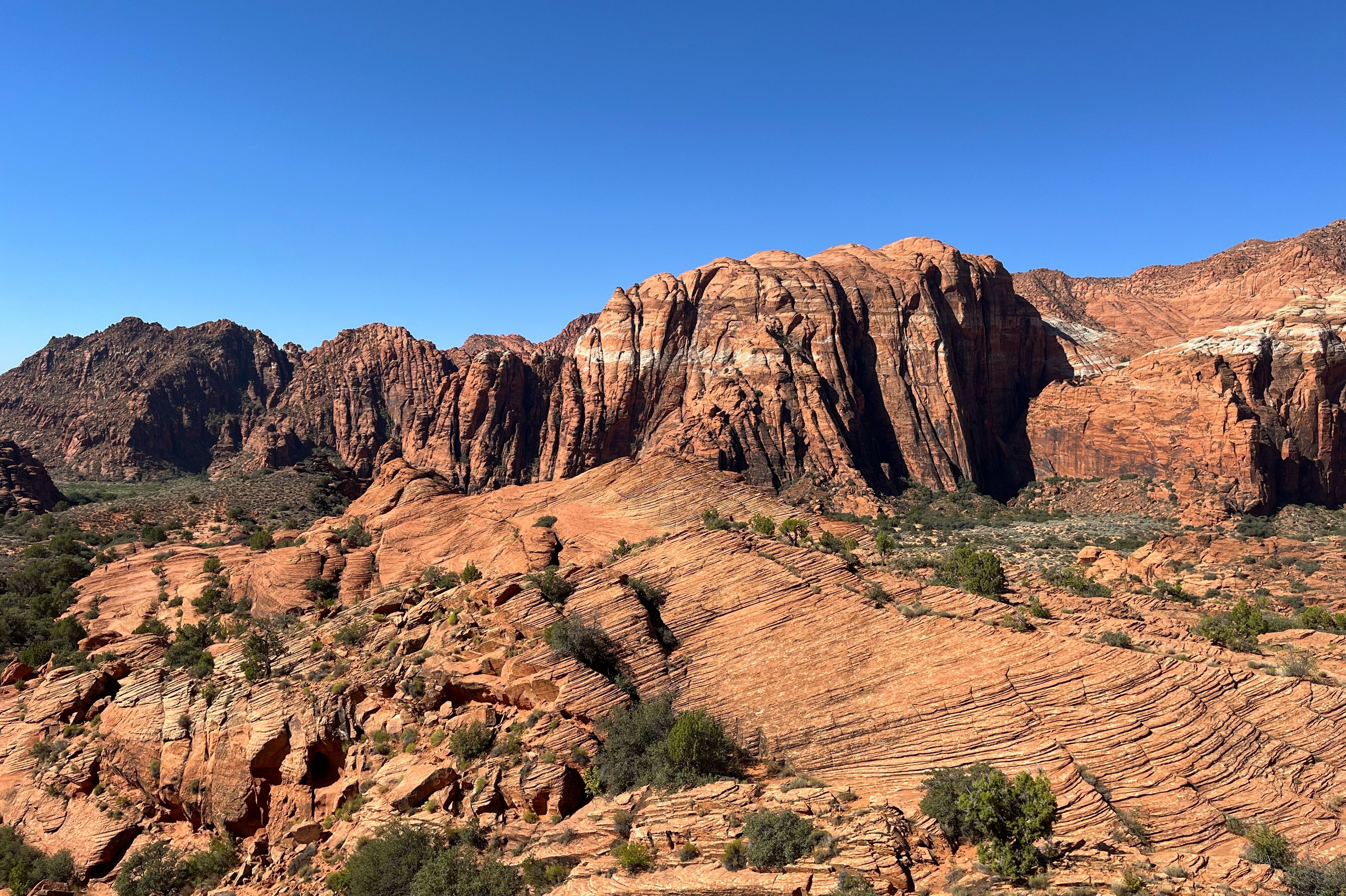 Landschaft im Snow Canyon State Park