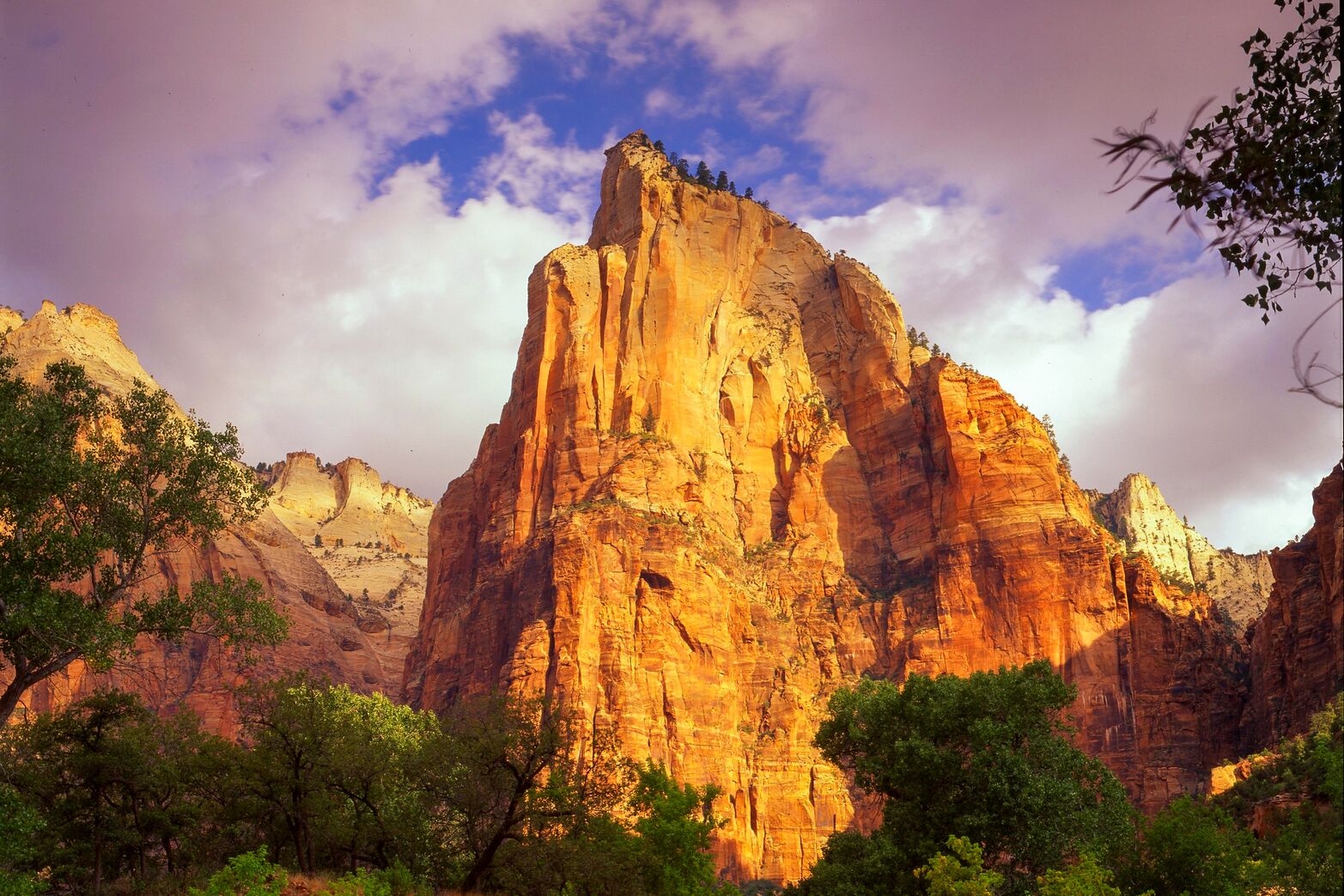 Atemberaubende Court of the Patriarchs Klippen im Zion Nationalpark