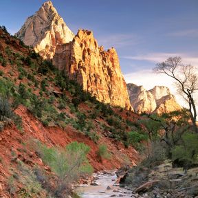 Der Virgin River morgens im Zion National Park, Hurricane