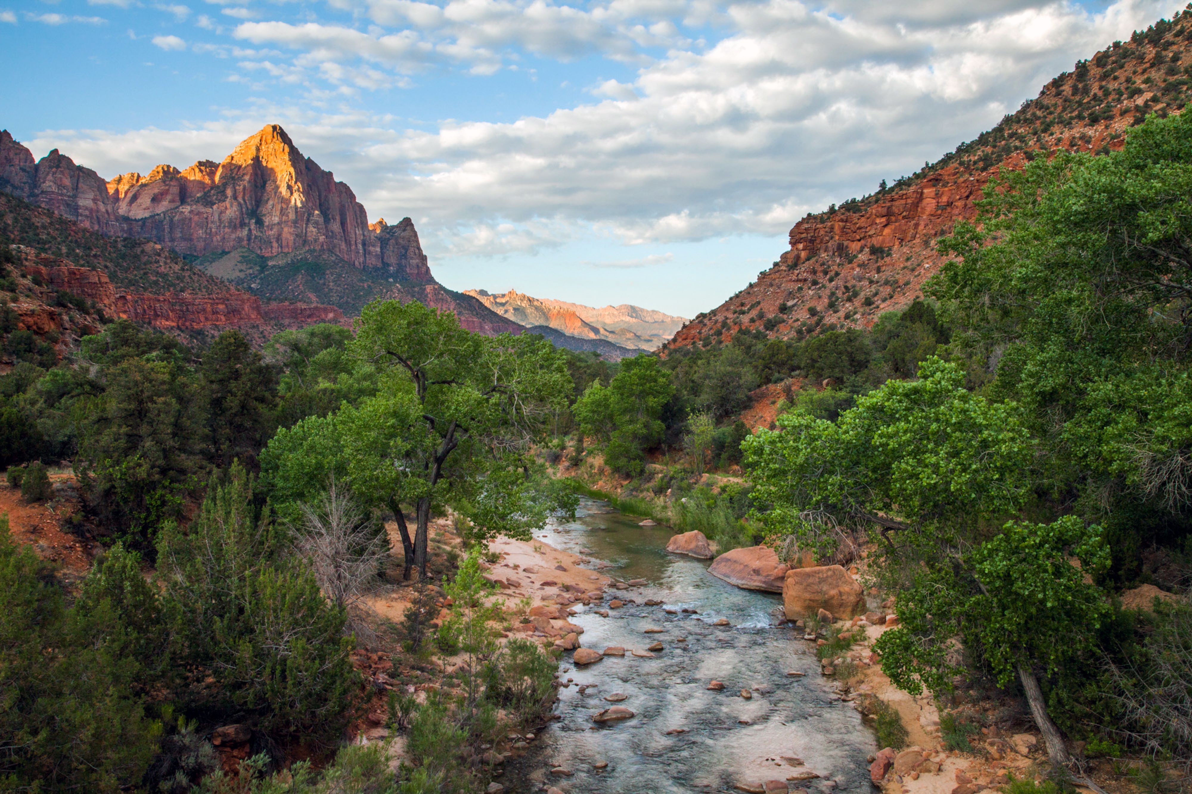 The Watchman and the Virgin River, Zion National Park