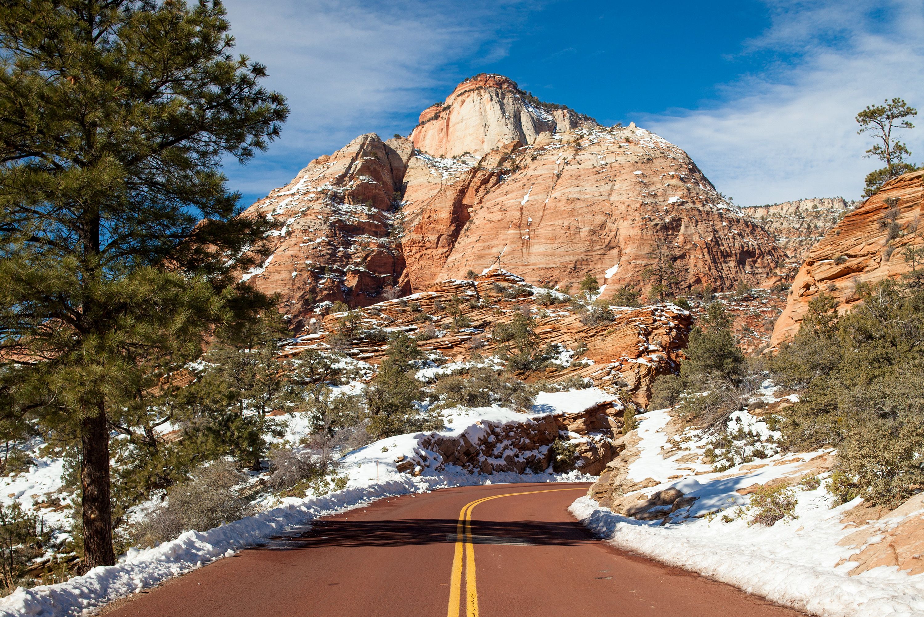 Den Zion Nationalpark in Utah in den USA erleben