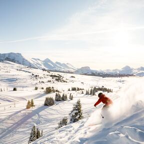 Skifahrer in Banff, Kanada bei strahlendem Sonnenschein und feinstem Powder Schnee