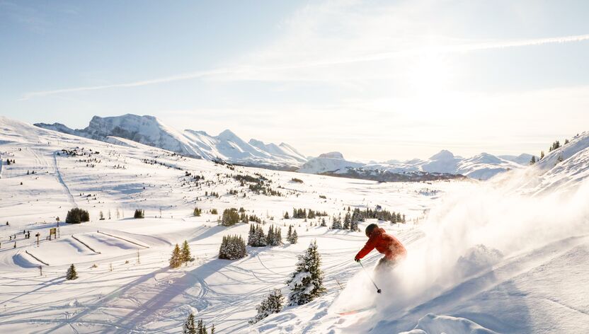 Skifahrer in Banff, Kanada bei strahlendem Sonnenschein und feinstem Powder Schnee Skifahrer in Banff, Kanada bei strahlendem Sonnenschein und feinstem Powder Schnee