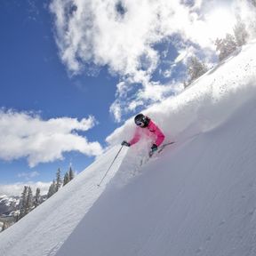 Abfahrt im Powderschnee in Aspen, Colorado