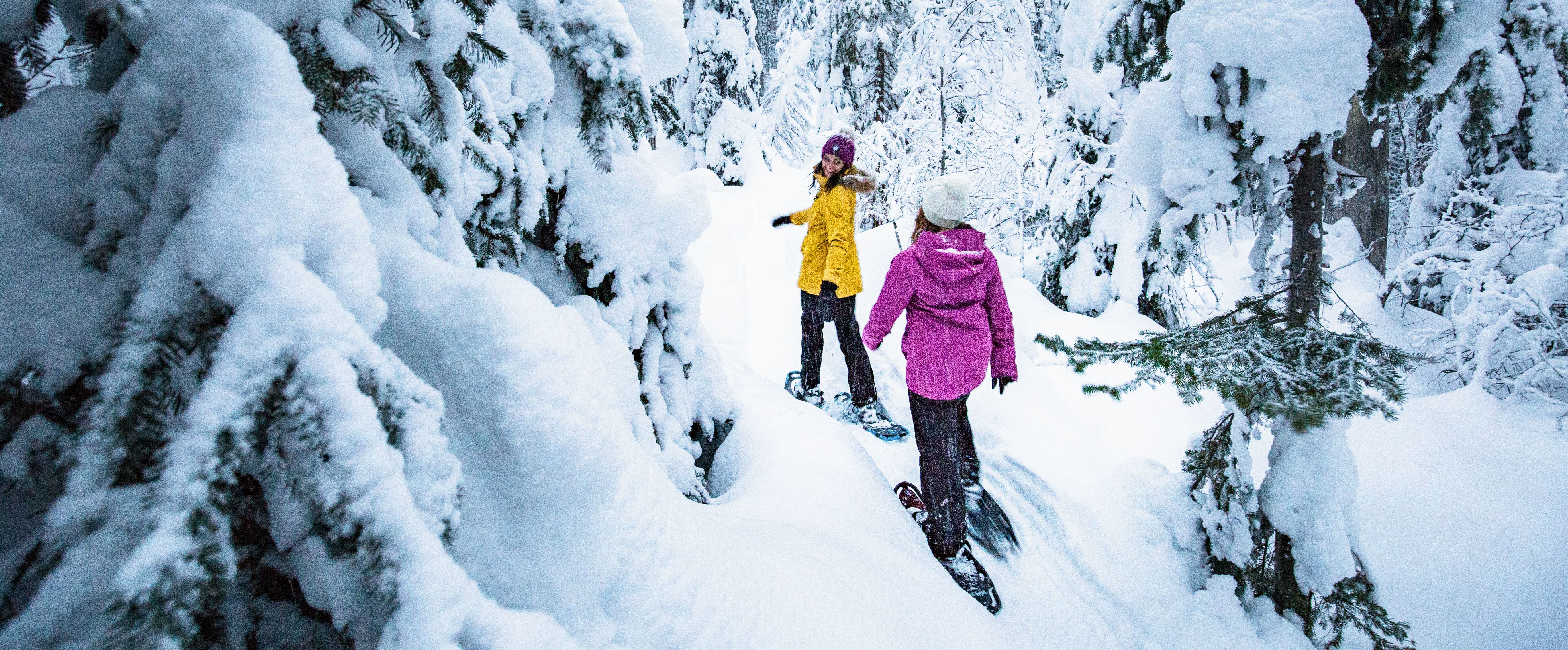 Mit Schneeschuhen das Silver Star Mountain Resort in British Columbia erkunden