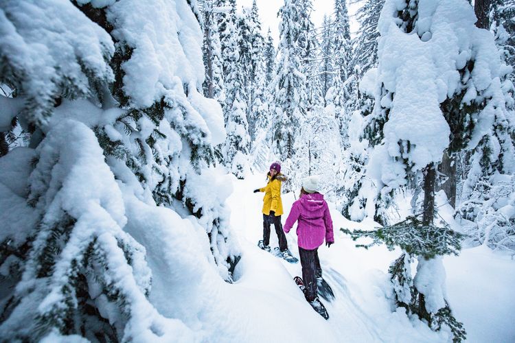 Mit Schneeschuhen das Silver Star Mountain Resort in British Columbia erkunden