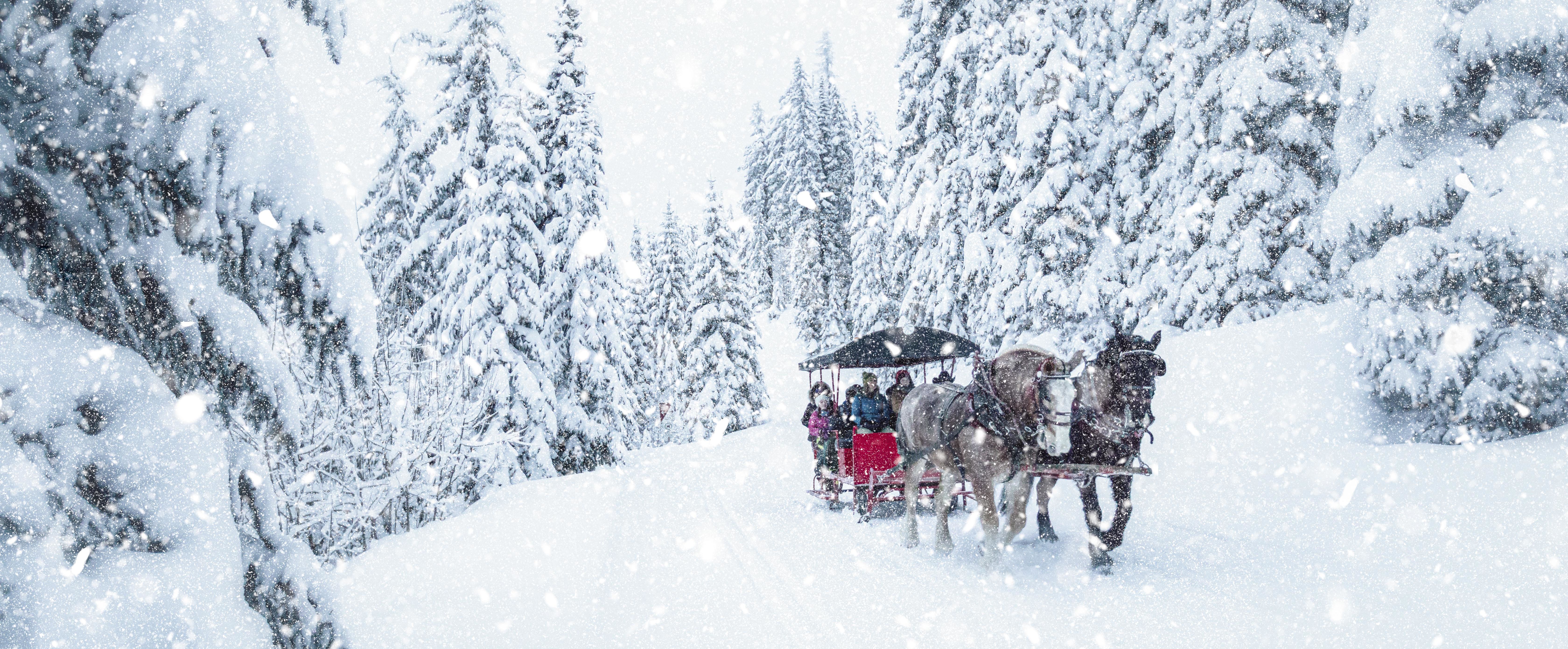 Mit dem Pferdeschlitten durch das Silver Star Mountain Resort in British Columbia