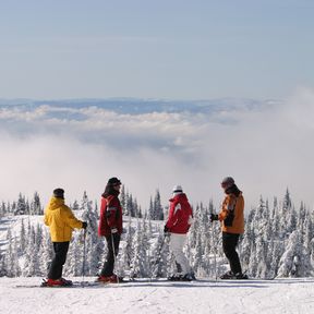 Misty Group in Silver Star