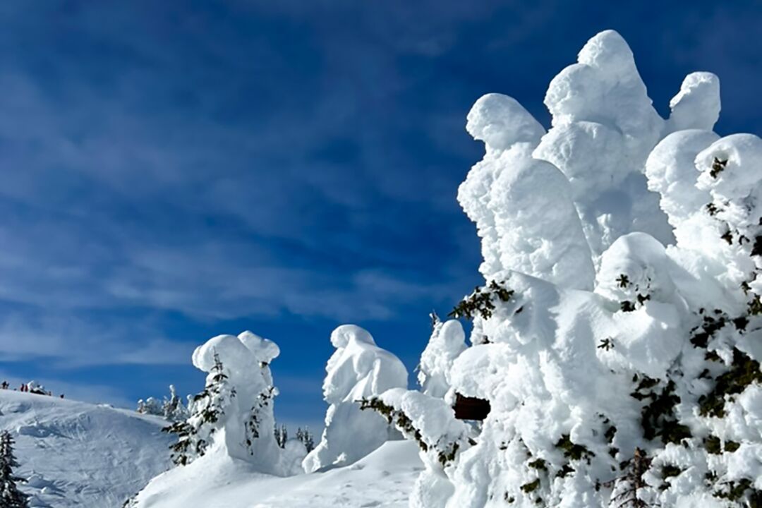 Snowghosts im tief verschneiten Skiresort Sun Peaks