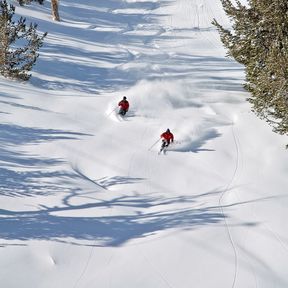 Abfahrt im Powder