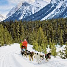ski/canadian-rockies/banff/allgemein/17-ski-dog-sledding-lake-louise.cr2200x2197-0x742 ski/canadian-rockies/banff/allgemein/17-ski-dog-sledding-lake-louise.cr2200x2197-0x742