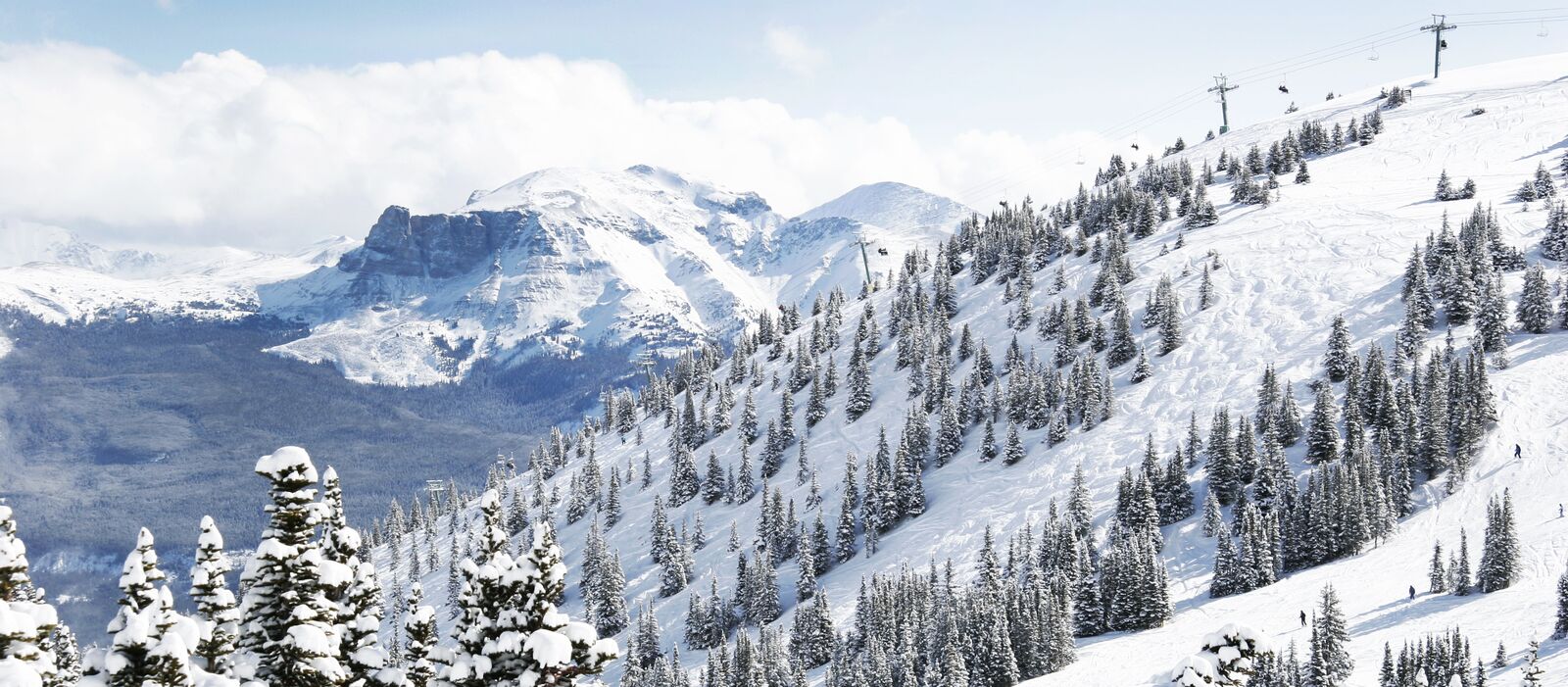 Ausblick auf das Marmot Basin, Alberta Ausblick auf das Marmot Basin, Alberta