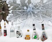 ski/canadian-rockies/lake-louise/hotels/posthotel/ice-bar-am-fairmont-lake-louise-1.cr5472x2399-0x1040 ski/canadian-rockies/lake-louise/hotels/posthotel/ice-bar-am-fairmont-lake-louise-1.cr5472x2399-0x1040