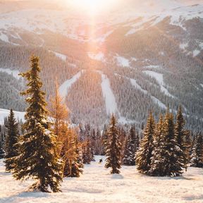 Sonnenaufgang im Sunshine Village