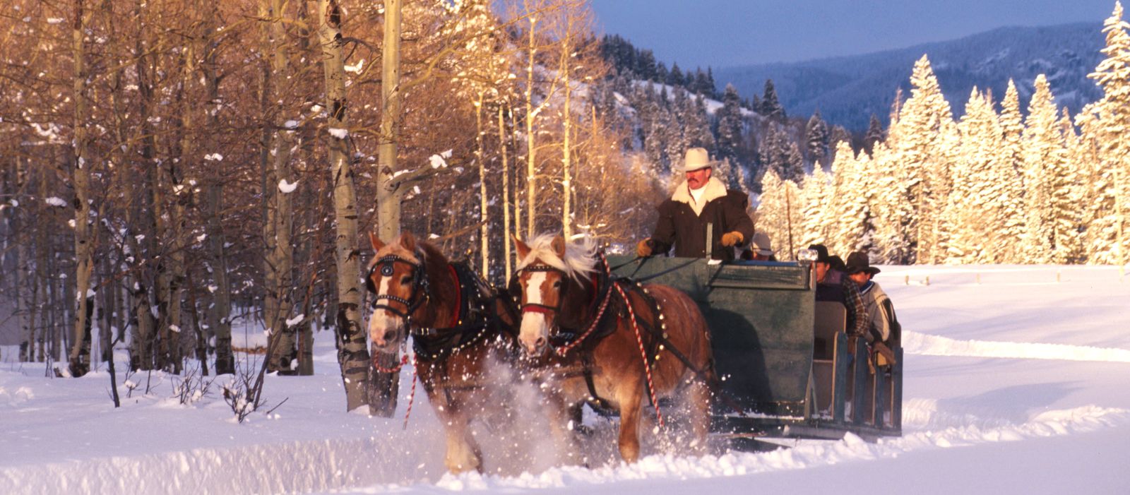 Enjoy a horse drawn sleigh ride through the Yampa Valley as the sun sets covering the land with its brillant aplenglow to dinner by the fire and western music. Steamboat Photo/Cynthia Hunter.