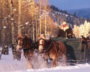 ski/colorado/steamboat/allgemein/schlitten-daemmerung.cr2907x1274-0x541 ski/colorado/steamboat/allgemein/schlitten-daemmerung.cr2907x1274-0x541