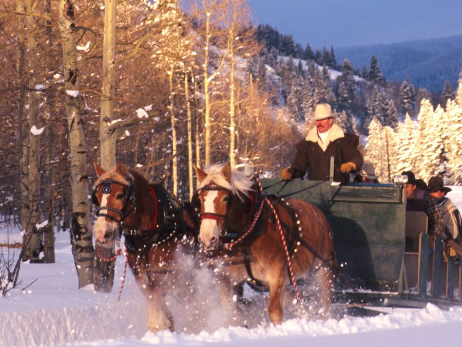 Enjoy a horse drawn sleigh ride through the Yampa Valley as the sun sets covering the land with its brillant aplenglow to dinner by the fire and western music. Steamboat Photo/Cynthia Hunter.