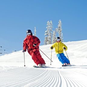 Groomer; Male; Ski; Winter