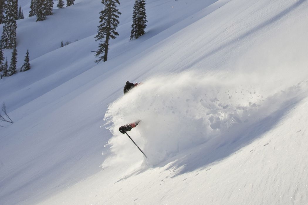 Skifahrer im Pulverschnee in Fernie