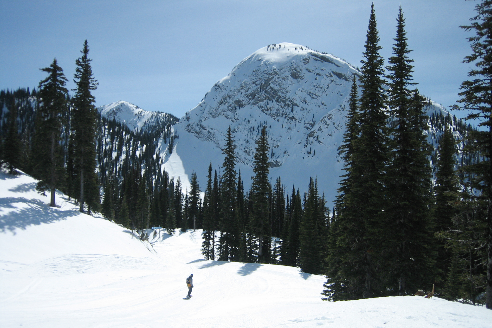 ski/kootenay-rockies/fernie/allgemein/wald-berg