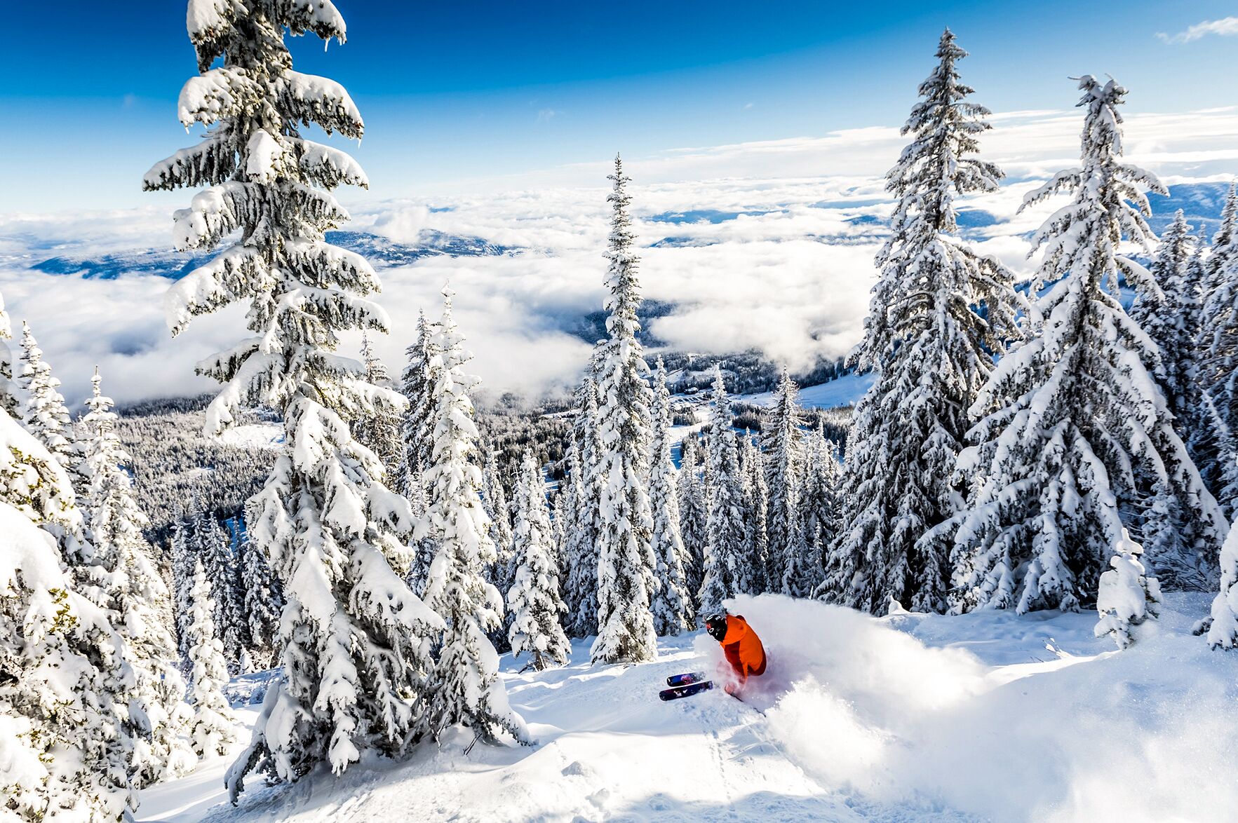 Ski fahren im frischen Powder im Red Mountain Resort in British Columbia