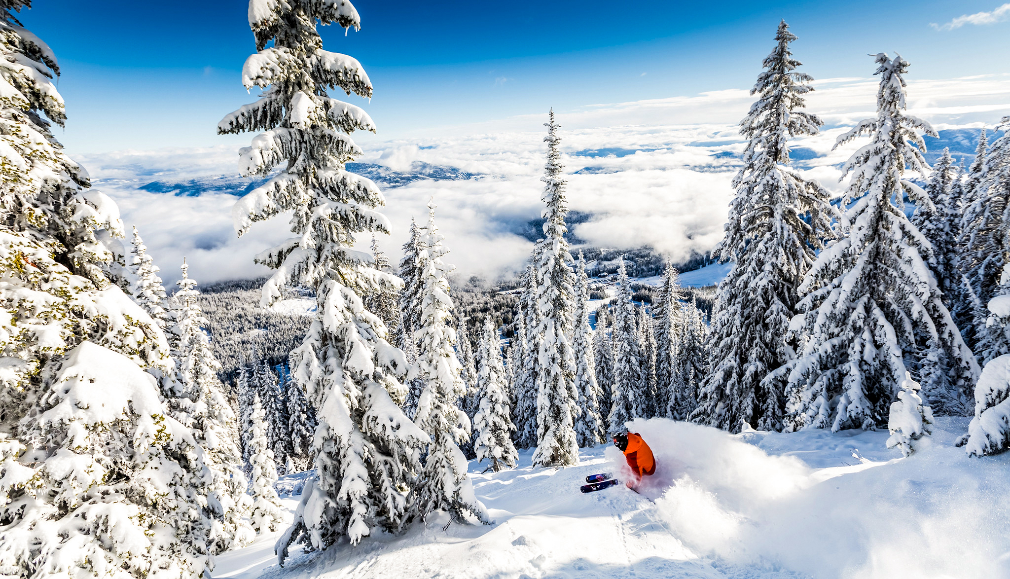 Ski fahren im frischen Powder im Red Mountain Resort in British Columbia