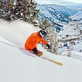 Skifahrer in frischem Powder