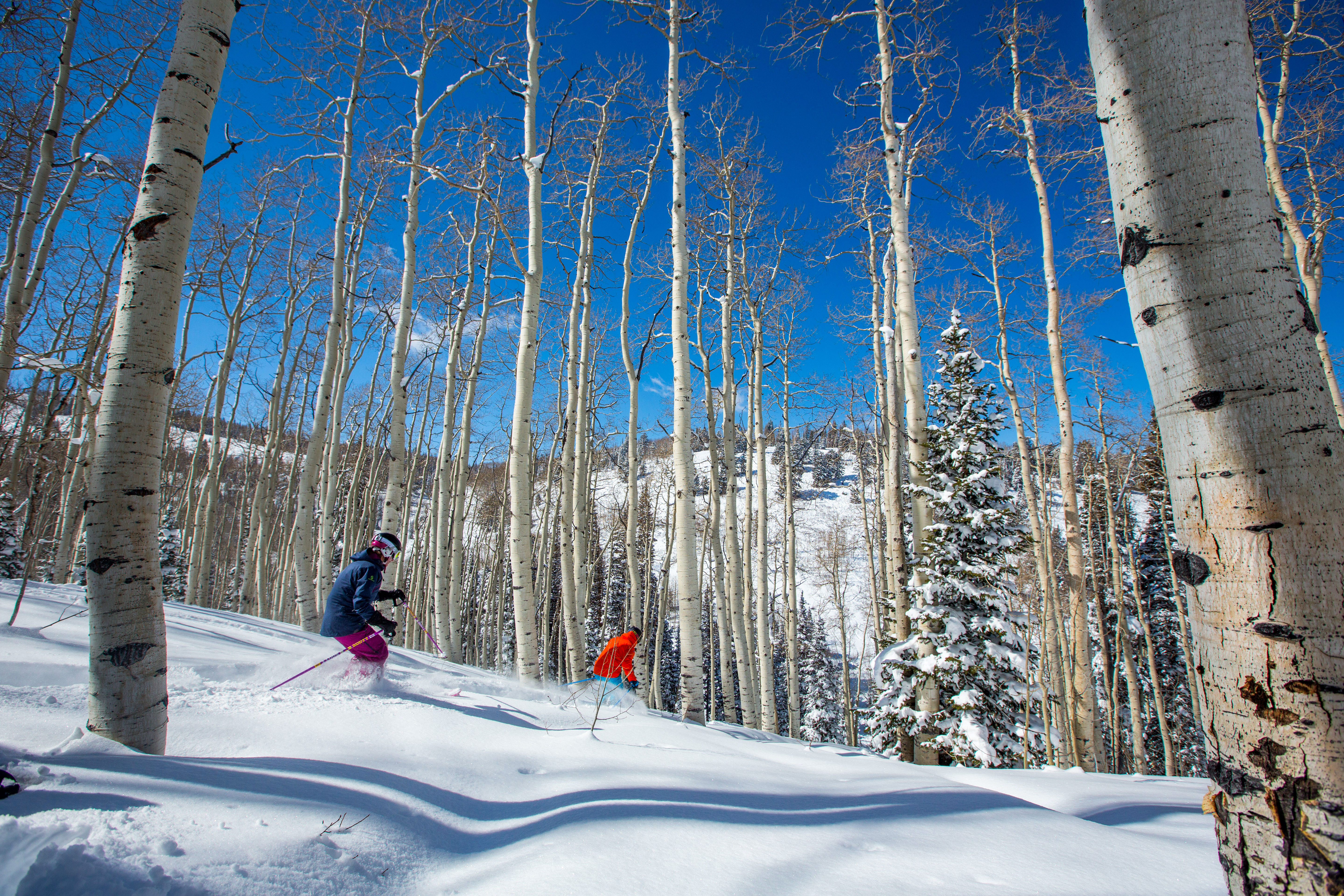 Zwei Skifahrer genießen den frischen Powder-Schnee im Deer Valley in Park City, Utah