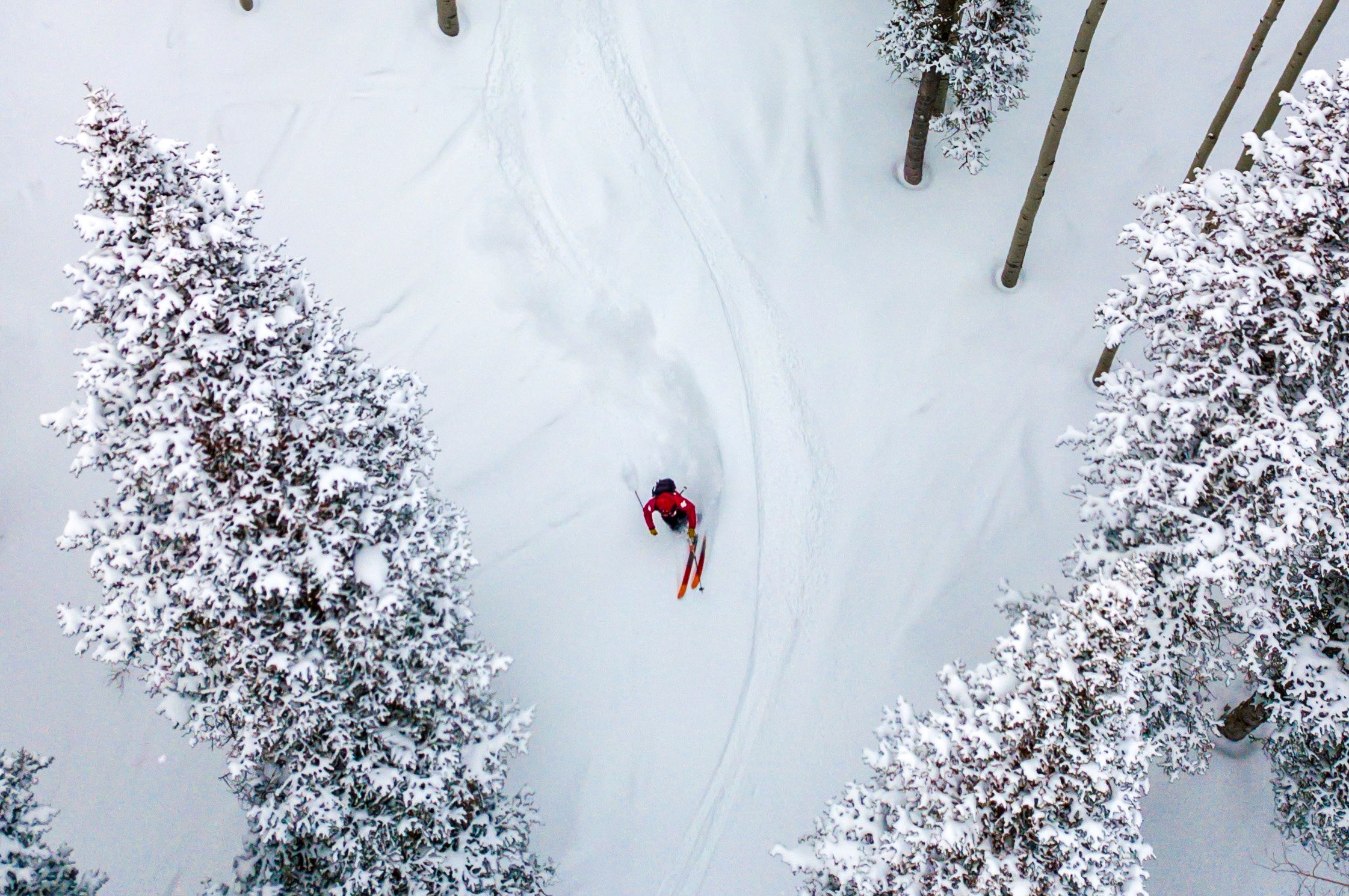 Ein SKifahrer genießt den Powder-Schnee zwischen den Bäumen des Deer Valley in Park City, Utah