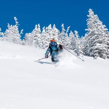 ski/utah/park-city/allgemein/17-ski-utah-park-city-wasatch-mountain.cr1992x1992-456x0 ski/utah/park-city/allgemein/17-ski-utah-park-city-wasatch-mountain.cr1992x1992-456x0