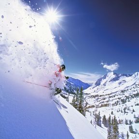 Powder Skiing bei Salt Lake City