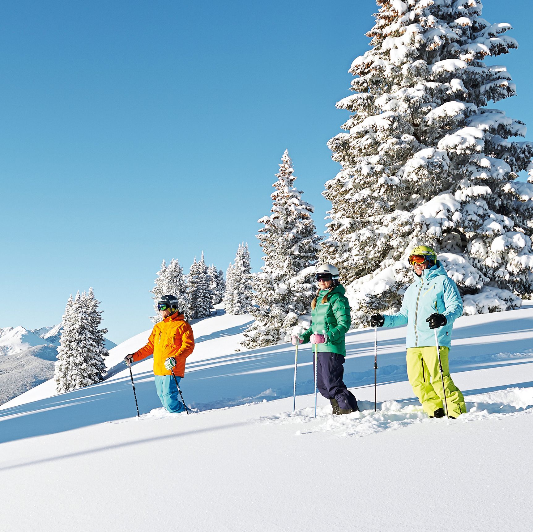 Ski und Landschaft