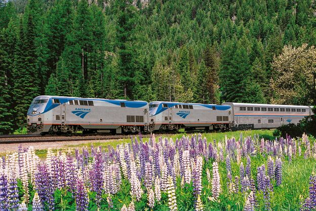 Ein Amtrak-Zug fährt durch frühlingshafte Natur Ein Amtrak-Zug fährt durch frühlingshafte Natur